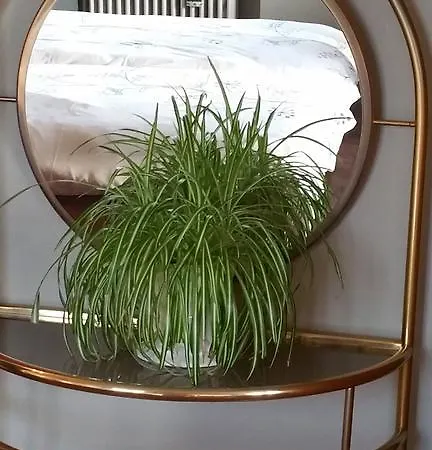 Aan Duin En Zee Candle Oostende